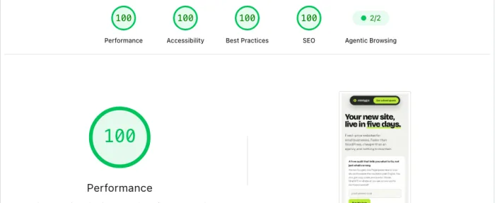 Mintygo Google PageSpeed score